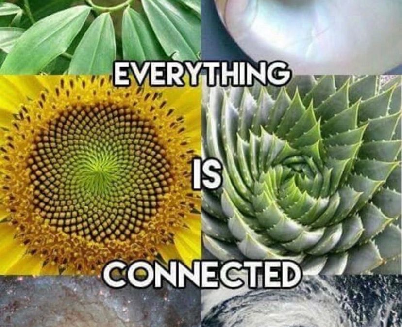 Everything is Connected – Observing our Movement in Nature